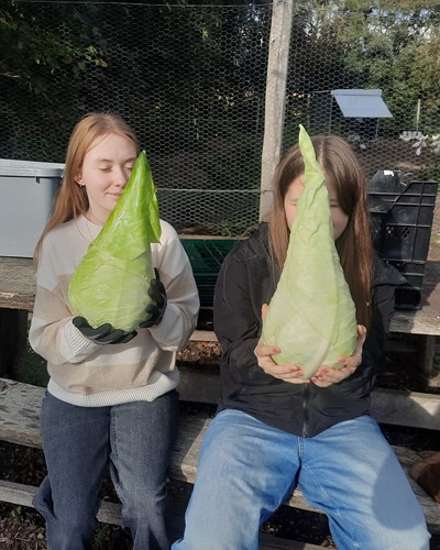 Giga Spidskål