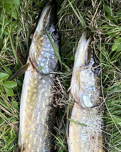 F4F56993 C8A6 4EF6 8828 857062B3E2DE (1)